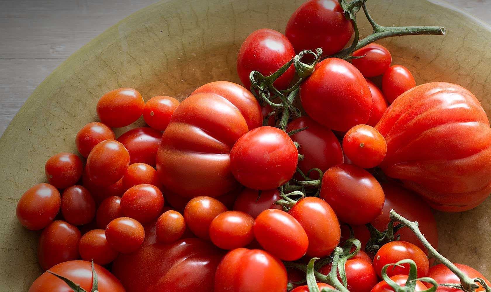 italian canned red tomato sauces